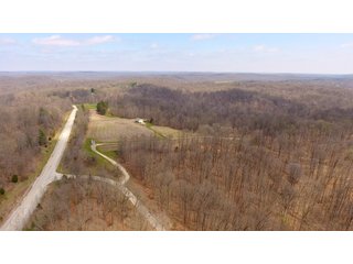 Property photo 4 - REAL ESTATE AUCTION - 1,013 ACRES IN 21 TRACTS IN MARTIN COUNTY, INDIANA